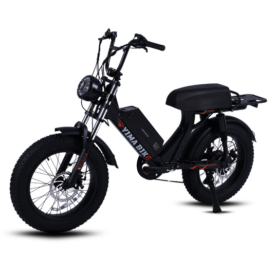 Bicicleta AZTLÁN