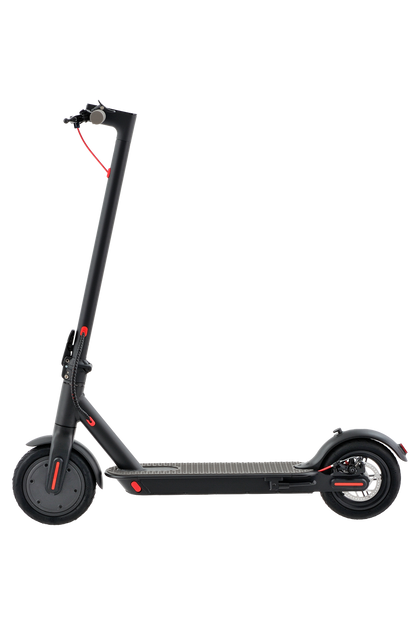 Scooter Colibri