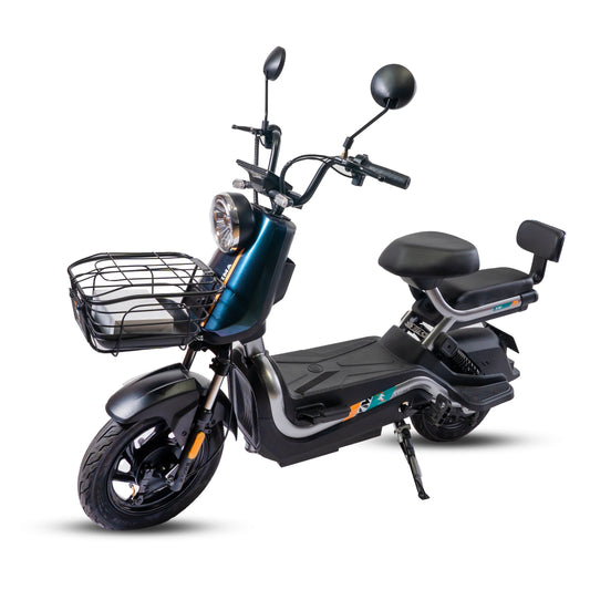 Moto Agave